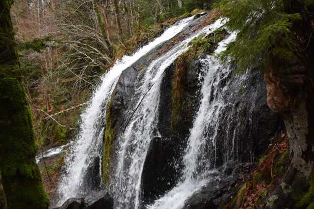 DSC_8225.JPG