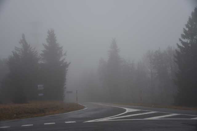 DSC_8237.JPG