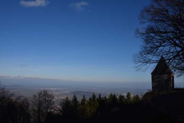 DSC_8265.JPG