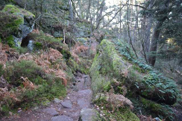 DSC_8275.JPG