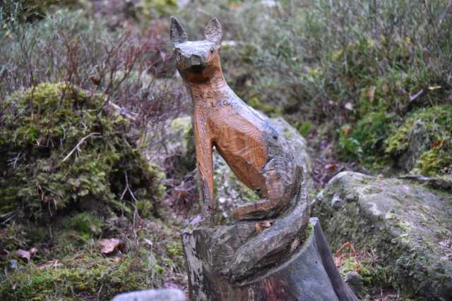 DSC_8276.JPG