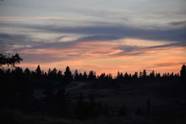 DSC_8326.JPG