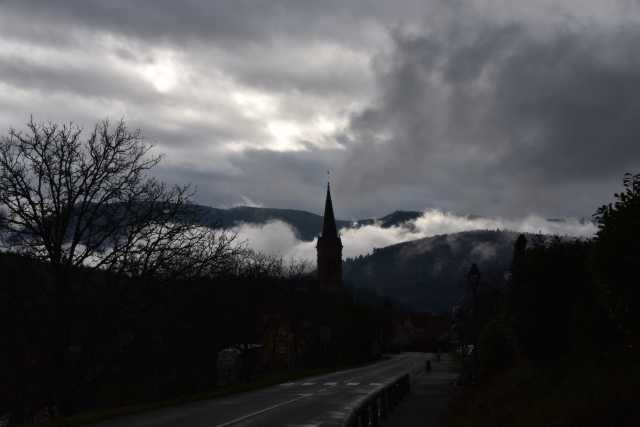 DSC_8334.JPG