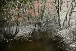 DSC_0067.JPG