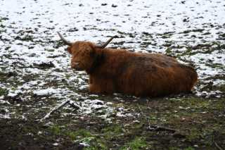 DSC_0087.JPG