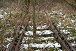 DSC_0099.JPG