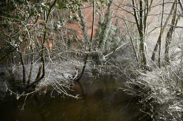 DSC_0067.JPG