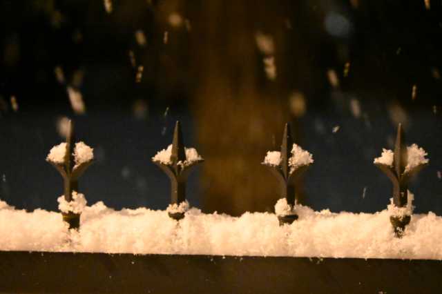 DSC_0068.JPG