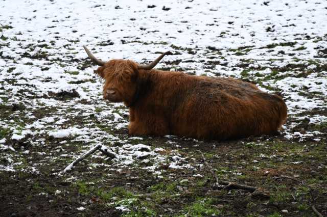 DSC_0087.JPG