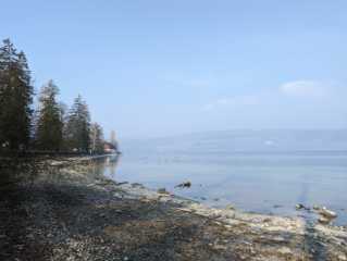 PXL_20230304_100828626.jpg
