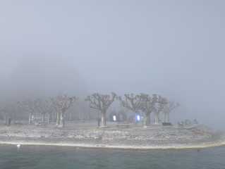 PXL_20230304_124031515.jpg