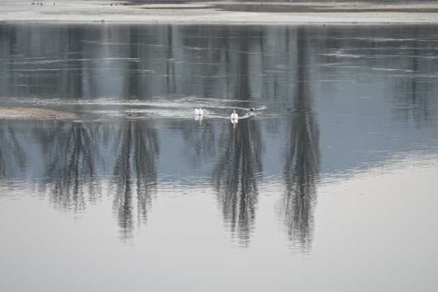 DSC_1518.JPG