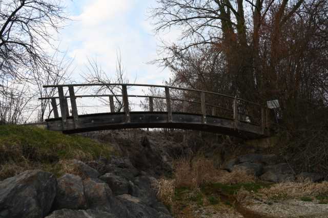 DSC_1529.JPG