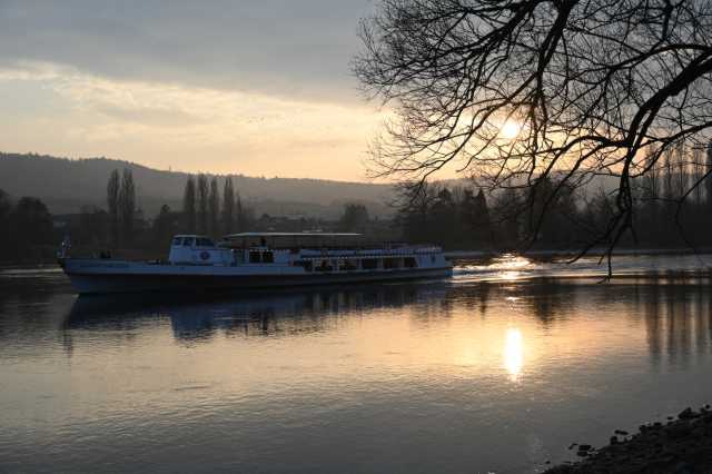 DSC_1549.JPG