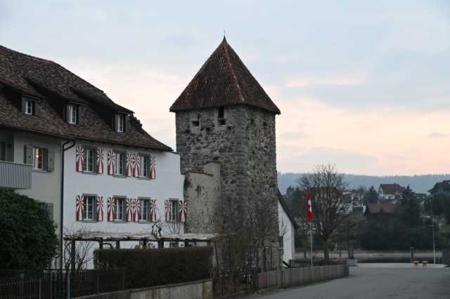 DSC_1577.JPG