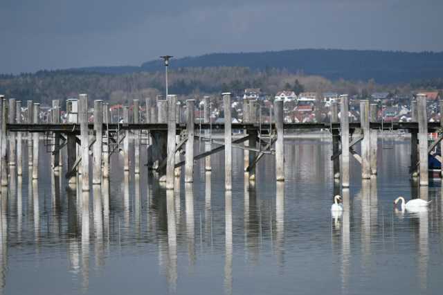 DSC_1597.JPG
