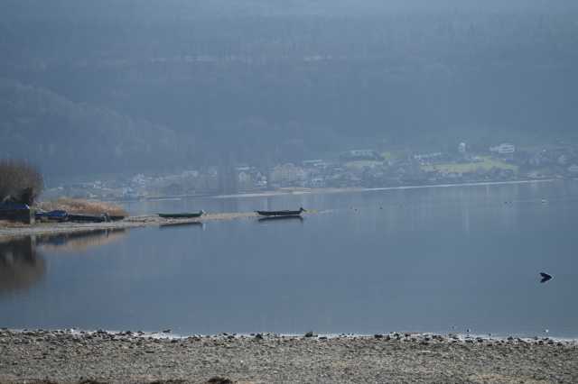 DSC_1639.JPG