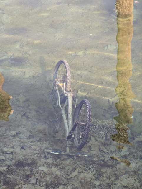 PXL_20230304_144319452.MP.jpg