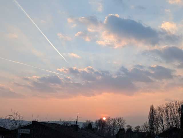 PXL_20230304_165312619.jpg