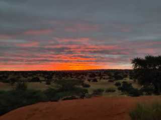 20230424_182728.jpg