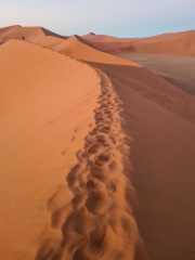 20230426_070746.jpg
