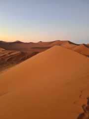 20230426_070754.jpg