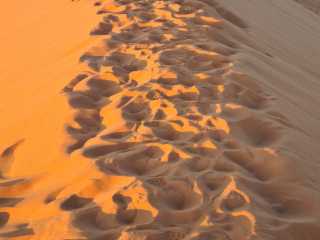 20230426_072933.jpg