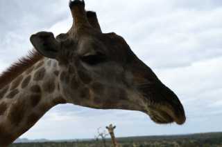 DSC_1727.JPG
