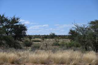 DSC_2139.JPG