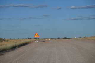 DSC_2178.JPG