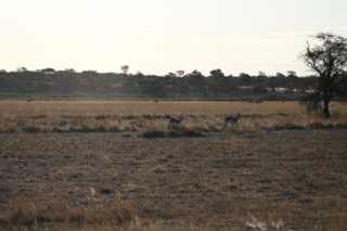 DSC_2181.JPG
