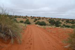 DSC_2249.JPG