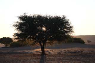 DSC_2622.JPG