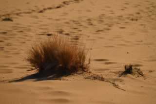 DSC_2791.JPG
