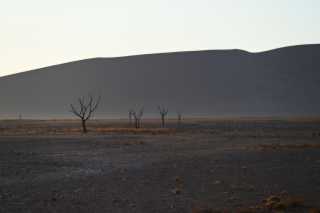 DSC_2803.JPG