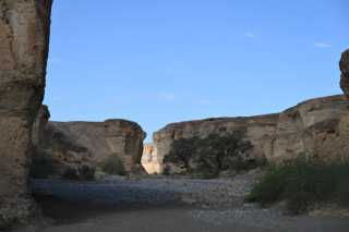 DSC_2997.JPG