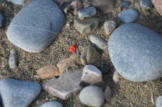 DSC_2998.JPG