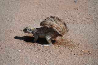 DSC_3168.JPG