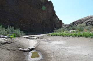 DSC_3251.JPG