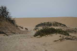 DSC_3503.JPG