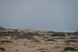 DSC_3742.JPG