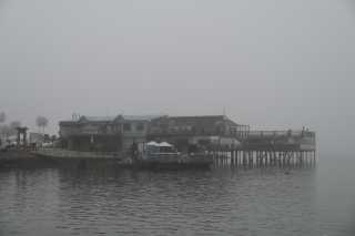 DSC_3926.JPG
