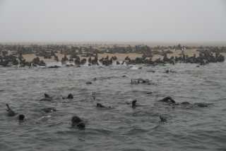 DSC_4067.JPG