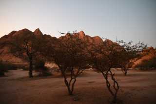 DSC_4510.JPG