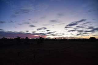 DSC_8880.JPG