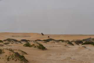 DSC_9300.JPG