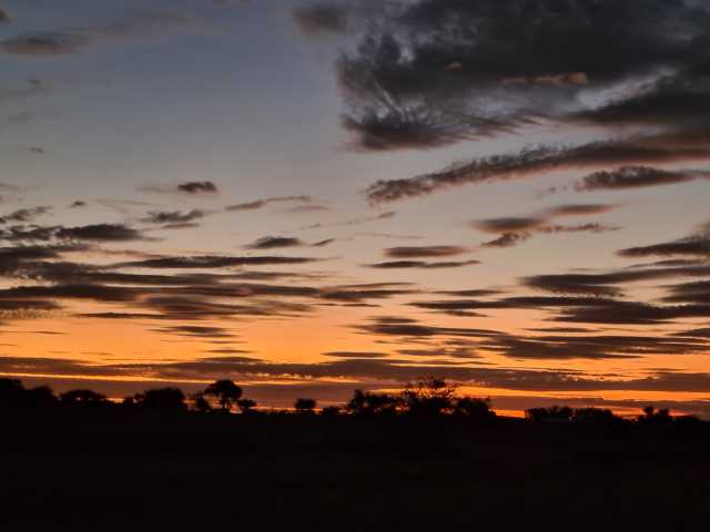 20230423_185123.jpg
