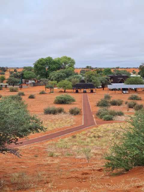 20230424_144444.jpg