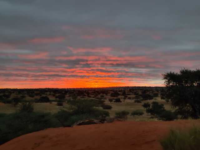 20230424_182728.jpg
