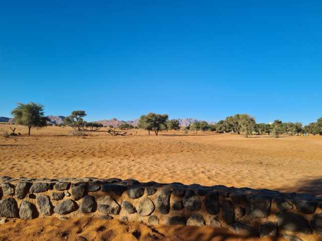 20230425_171332.jpg
